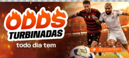 bingoaovivo